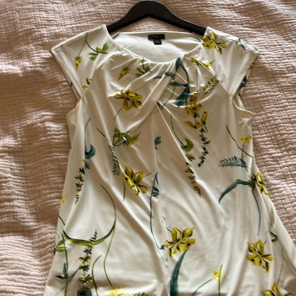 Cap sleeve, lined, silky blouse from Ann Taylor Factory.